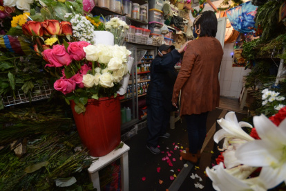 Opción. Muchas personas deciden hacerse ‘baños’ en sus domicilios y compran las plantas.