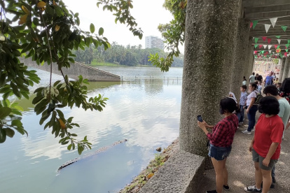 Personas toman fotos a un cocodrilo en la Laguna de las IIusiones, en el municipio de Villahermosa, en Tabasco (México).
