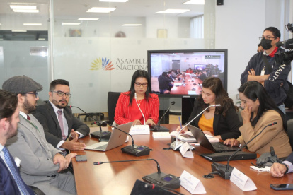 La Comisión Ocasional de Enmiendas convocará a otros actores antes de elaborar el informe para primer debate.