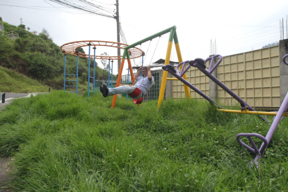 Alto. El tamaño de la hierba alcanza hasta las rodillas, en los adultos.