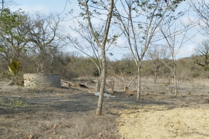 Montecristi. A Randy Zambrano, lo hallaron en la zona rural Los Bajos.