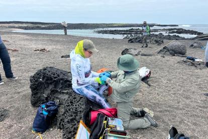 Trabajo. Personal que participó de labores de campo, en Galápagos.
