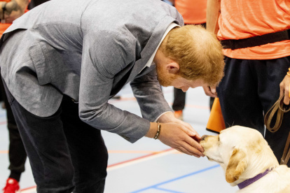 Imagen de Archivo del príncipe Enrique.