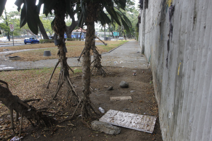 Panorama. En los bajos de la ciudadela La Fuente quedan vestigios de las covachas que se instalaron en el sector.