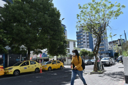 Data. Durante el 2022 el área de Áreas Naturales de la Epmmop plantó dos mil árboles, aproximadamente, entre pequeños y grandes en la ciudad.