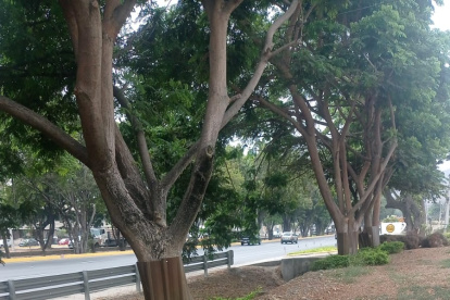 Hecho. Esta fotografía se viralizó en redes sociales.