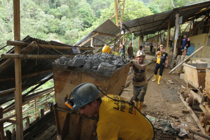 Referencia. El estudio de monitoreo satelital devela cifras alarmantes.