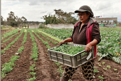 Campo. Los pequeños productores requieren de apoyos para tecnificarse y solucionar otros restos.