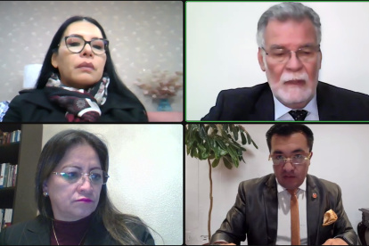 La sesión ordinaria 2 del Pleno del Consejo Nacional Electoral fue virtual.