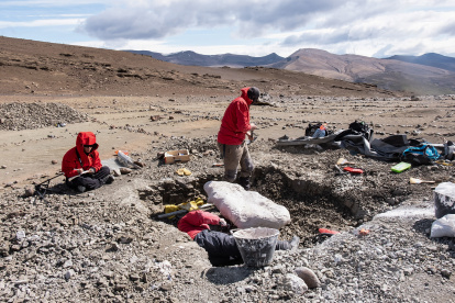 Fotografía de archivo sin fechar cedida por la Universidad de Chile, que muestra a un grupo de investigadores excavando, en La Patagonia (Chile). Un grupo de investigadores descubrió en la Patagonia una especie extinta de dinosaurios, parientes de las aves actuales, que alcanzaban 10 metros de longitud y una tonelada de peso, y dominaron la cadena alimentaria del extremo austral del mundo hace 70 millones de años. EFE/ Universidad De Chile/SOLO USO EDITORIAL / SOLO DISPONIBLE PARA ILUSTRAR LA NOTICIA QUE ACOMPAÑA (CREDITO OBLIGATORIO)