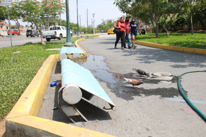 El estado de los bancos es deplorable.