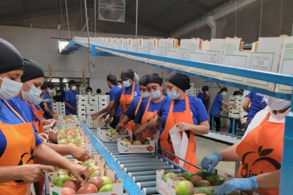Industrias. En el país existen un centenar de empresas que se dedican a la producción y exportación.