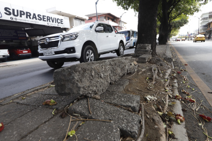 FOTO DENUNCIA, PARTERRE DAÑADO, AV.LUIS PLAZA DAÑIN, 13 ENERO  DEL 2023- AMELIA ANDRADE Guayaquil-Ecuador Agencia (Ag-ecpreso)