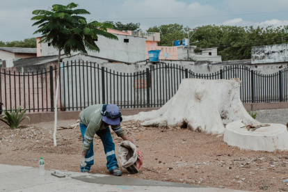 En el sitio se pintaron troncos de árboles que ya habían sido cortados.