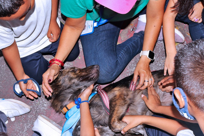 Niños juegan con mascotas que fueron llevados hasta el albergue para que ellos interactúen con los animales.