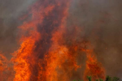 Imagen referencial de esta terrible trageidia