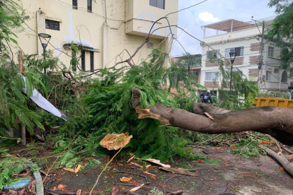 Urdenor 1. El árbol se mantuvo obstaculizando el paso varios días.