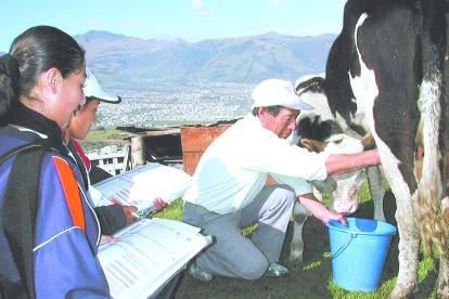 Finca. Una persona saca leche de la vaca de manera manual.