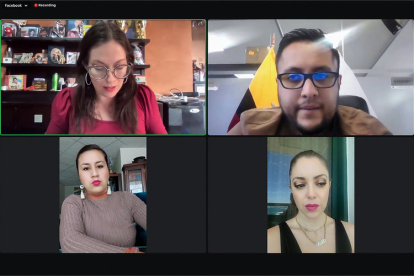 Sesión. La comisión fue convocada de forma virtual para tratar el tema.