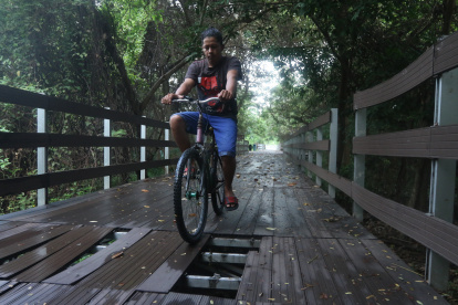 Las camineras de la isla Santay se encuentra en pésimo estado