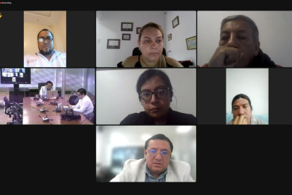 Legisladores de la comisión en sesión virtual.