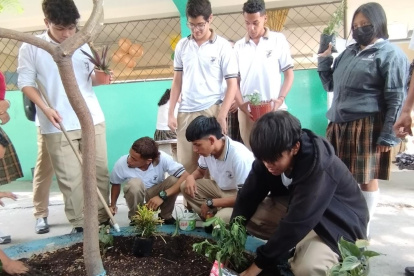 Los estudiantes realizan la siembra de varios tipos de plantas.
