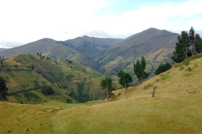 Vista parcial del área de protección hídrica de Quinllunga, en la provincia de Bolívar.