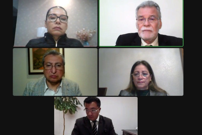 Reunión virtual de algunos integrantes del CNE.