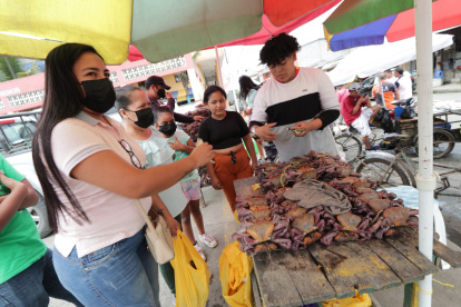 El cangrejo rojo y azul tienen dos períodos de veda durante el año.