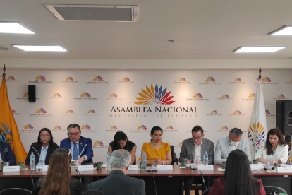 Esta instancia legislativa escucha diversas opiniones previo la elaboración de un informe.