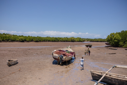 Según datos de la FAO la industria agroalimentaria es la responsable del 30 por ciento de las emisiones de gases de efecto invernadero.