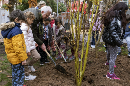 Su estudio halló asimismo que la sombra que proporcionan los árboles redujo las temperaturas urbanas en una media de 0,4 grados durante el verano.