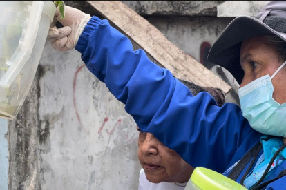 Personal del MSP realiza brigadas en la ciudad para identificar y eliminar criaderos de vectores.