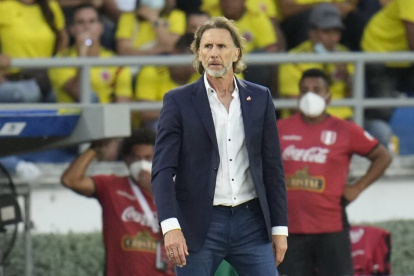 Ricardo Gareca, exselccionador de Perú.