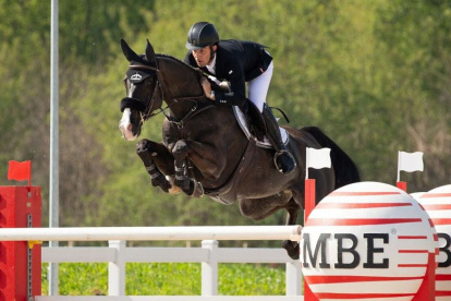 El jinete Sergio Álvarez Moya adquirió en su momento el ejemplar Álamo.