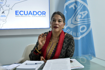 Estadounidense representante Regional Adjunta para América Latina y el Caribe de la Organización de las Naciones Unidas para la Alimentación y la Agricultura (FAO).