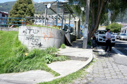 En la calle Selvalegre se puede ver cómo el césped se ha apoderado de buena parte de la vereda.
