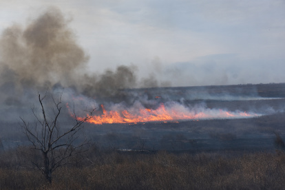 Vista los incendios forestales, en una fotografía de archivo. EFE/Franco Trovato Fuoco