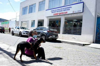 Espera. Esta mujer tiene el turno 29. Llegó a las 07:00 y esperó al menos cinco horas para ser atendida. Esto debido a la alta demanda de pacientes de cuatro patas que llegan a estos sitios.