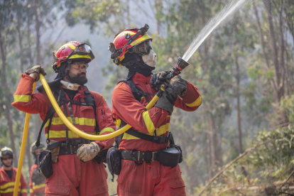 Fotografía cedida por la Unidad Militar de Emergencias (UME) de España que muestra a efectivos de la UME mientras trabajan en la contención de un incendio forestal, ayer, en la comuna de Hualqui, Concepción, (Chile). Los incendios han causado ya la muerte de 24 personas, arrasado cerca de 1.300 viviendas y causado más de 5.500 damnificados en las regiones de Ñuble, Biobío, La Araucanía y Maule. EFE/ Unidad Militar De Emergencias (ume) SOLO USO EDITORIAL SOLO DISPONIBLE PARA ILUSTRAR LA NOTICIA QUE ACOMPAÑA (CRÉDITO OBLIGATORIO)