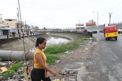 Escenario. Los canales de aguas lluvias del norte de Guayaquil son algunos de los puntos en donde las quejas por la cantidad de mosquitos no cesan.