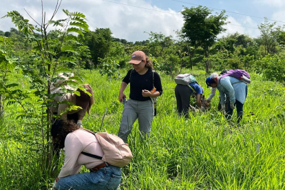Los estudiantes participaron en la siembra de árboles.