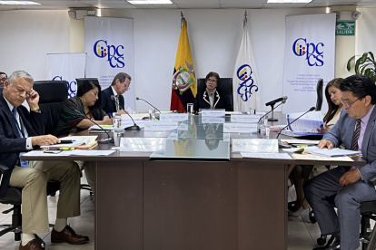 La sesión del Pleno del Consejo de Participación estuvo convocada par las 11:00 del 17 de febrero de 2023