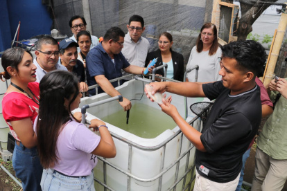 Estanques. El equipo de trabajo alimenta a los peces con el nuevo producto elaborado.