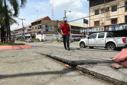 En la avenida Luis Plaza Dañín las raíces llegan hasta la calzada.