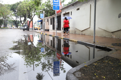 Hay zonas que están inundadas constantemente