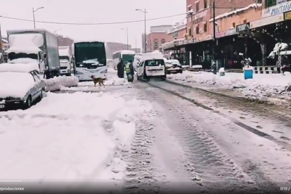 Ouarzazate. El temporal de nieve afecta a amplias zonas del país.