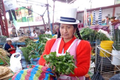 Cuenca. En la capital azuaya se ofertan mucho las plantas medicinales.
