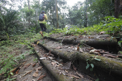 Paso. Una persona mientras recorre Venta de Cruces, en medio de la tupida selva panameña.