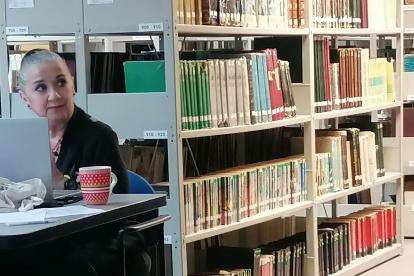 Una charla que revisa el rol del bibliotecario en un mundo digitalizado.